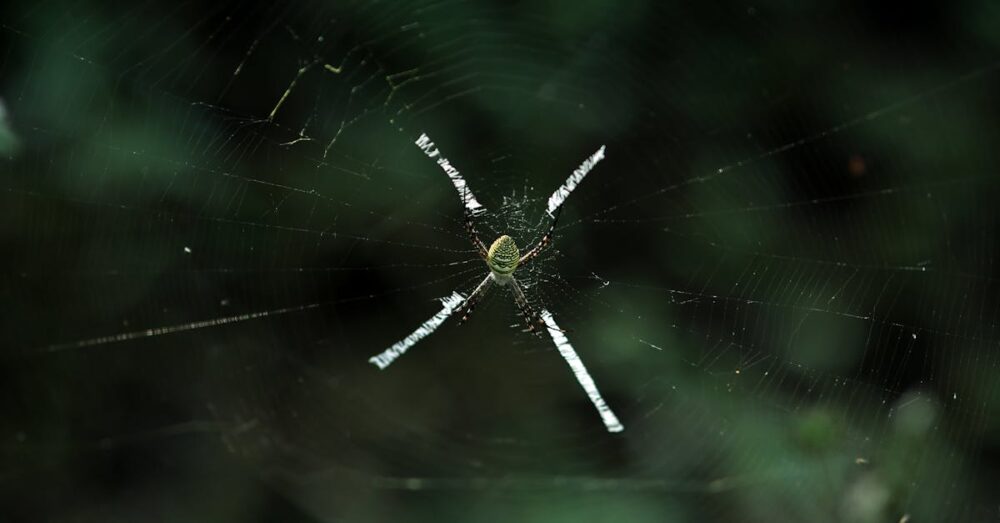 GEOの視点から設計されたWeb戦略の全体像を示すビジュアル